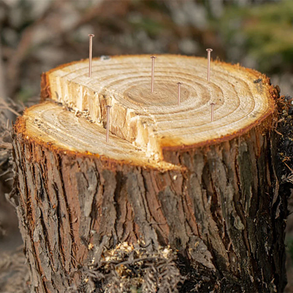 Effective Root Elimination Copper Tree Stump Killer Fast Acting Solution Large Sizes Available Non-Disturbing Method