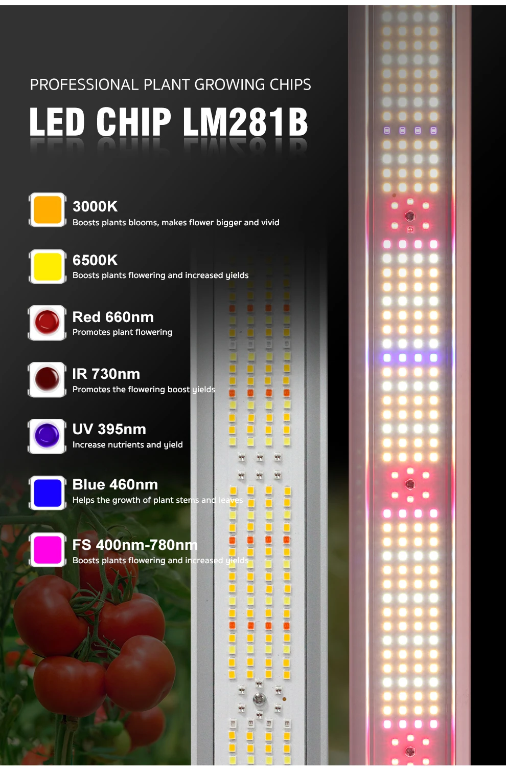 Vollspektrum-LED Grow Little 240 W 480 W W 900 W-Serie – verbindbar – dimmbar – faltbar W-Serie – verbindbar – dimmbar – faltbar. Grow Low – Detail 4