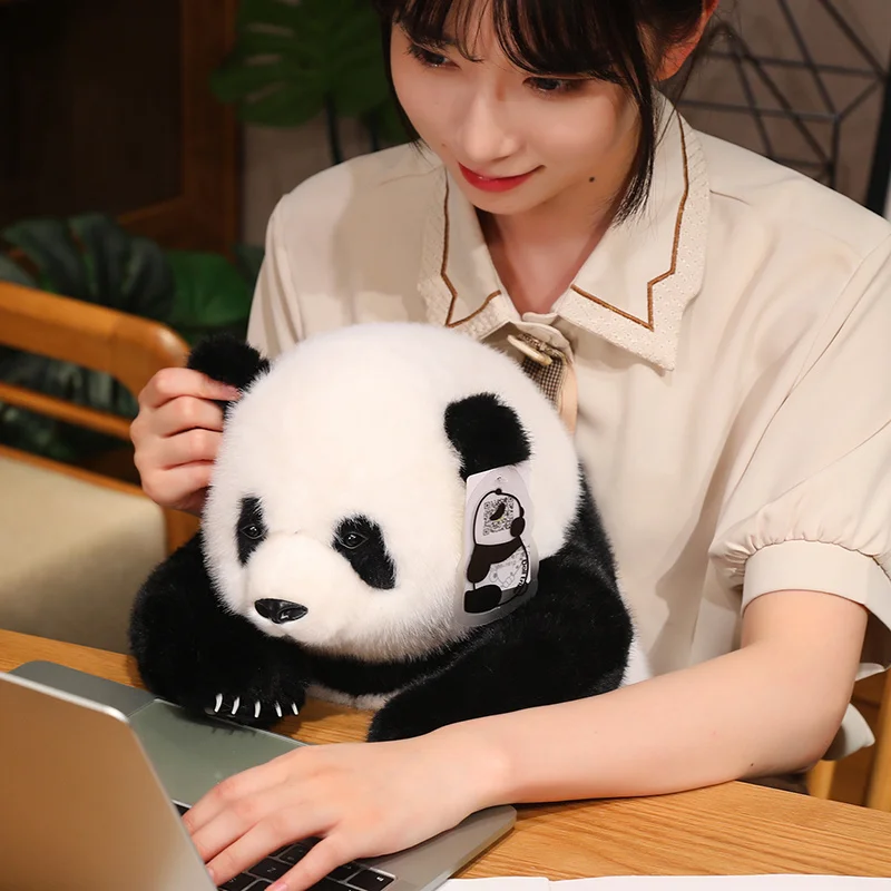 大きなパンダのぬいぐるみ Amazon.co.jp: ぬいぐるみ巨大 超大 パンダpanda デカイ