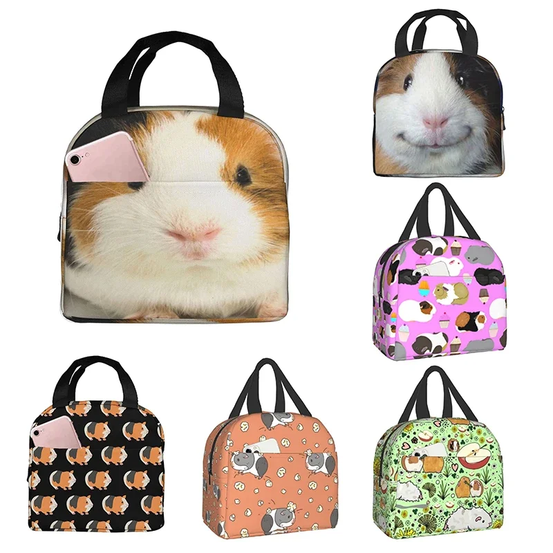 

Guinea Pig with Popcorning Lunch Box Insulated Waterproof Lunch Bag Reusable Lunch Tote with Front Pocket for Beach Picnic
