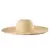 Women 15cm Wide Brim Sun Hat Summer Travel Floppy Straw Hat Female Outdoor Vacation Roll Up UPF50+ Oversized Foldable Beach Hat 11