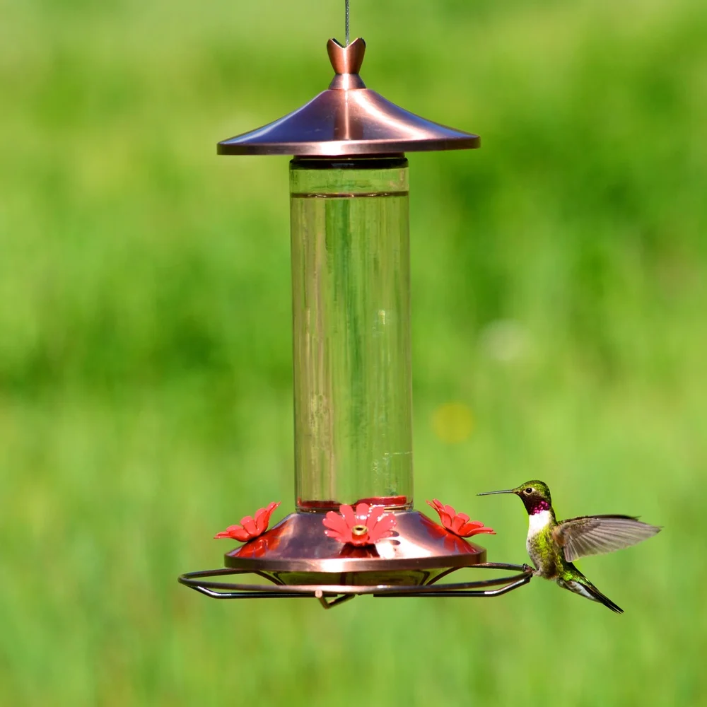 Elegant Copper Glass Hummingbird Feeder 12oz 4 Feeding Ports Wide Mouth Easy Clean Bee Guard Garden Decor bird feeder