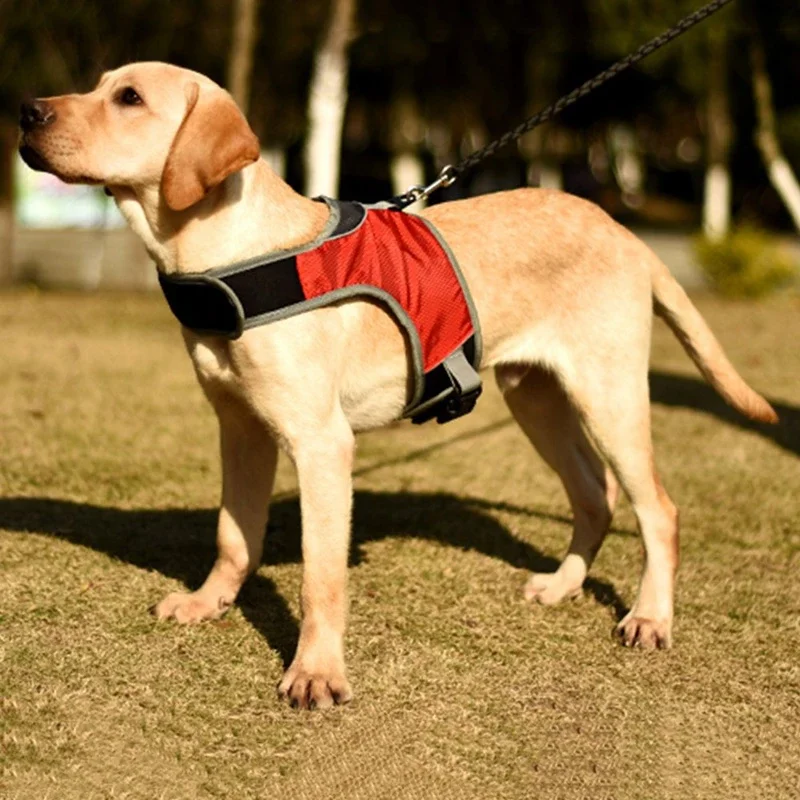

Dog Harness Strap Reflective Breathable Harness Night Travel Dog Chest Pet Supplies for Small Medium and Large Dog Cats