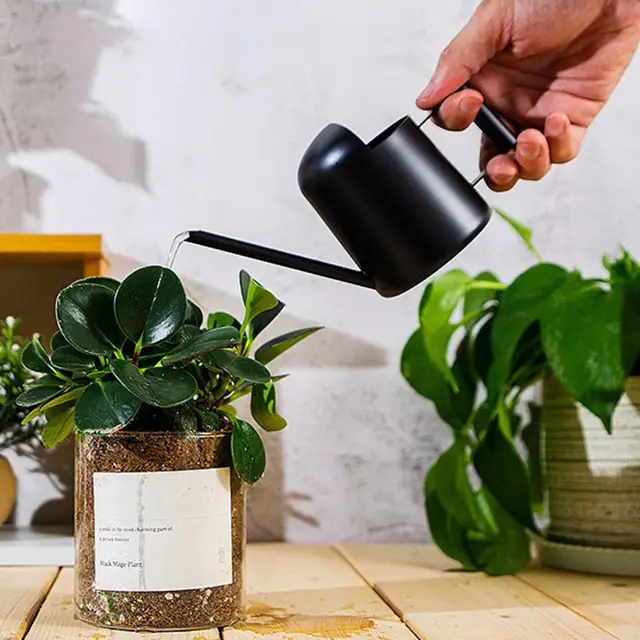 Small Watering Pot Stainless Steel Watering Stainless Steel Mini Watering Long Spout Sprinkling Pot for Indoor/outdoor Plants 5