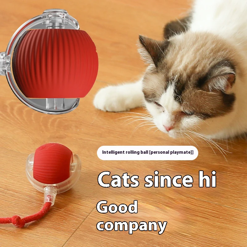 Rechargeable Electric Cat Ball Toy with Teaser Bird & Smart Sensor 5