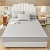 Six Sided All Inclusive Waterproof Mattress Cover With Zipper Urine-proof Bed Cover Solid Color Mattress Protector Pad Bedspread 1