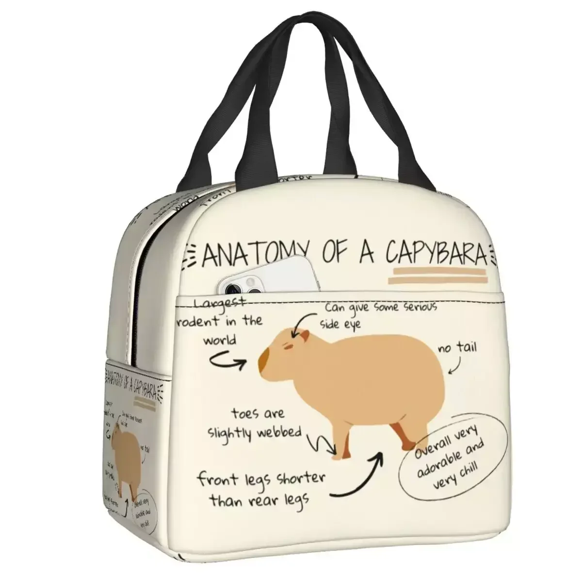 

2024 New Anatomy Of A Capybara Thermal Insulated Lunch Bag Resuable Lunch Container For Kids School Children Storage Food Box