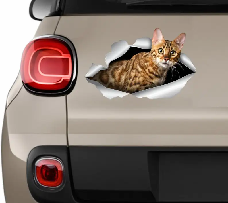 Cat decals Bengal cat sticker Car sticker Cat decal Car stickers Pets stickers Car stickers Animals decal Auto sticker Funny sti