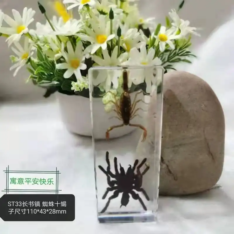 Resin Insect Specimen Handicraft Centipede Spider Beetle Scorpion Biological Sample  Boy Gift miniature brass figurines Figurines & Miniatures