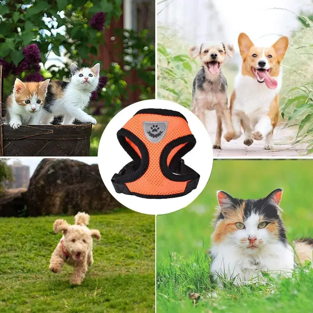 Pet Harness Nylon Mesh Cat And Leash Breathable Kitten Cats Small Dog Puppy For French Bulldog Chihuahua Pug
