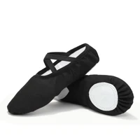 Girls Ballet Shoes For Woman Kids Ballet Slippers Women Ballet Flats Children Practise Dance Shoe Soft Sole Canvas Training Shoe