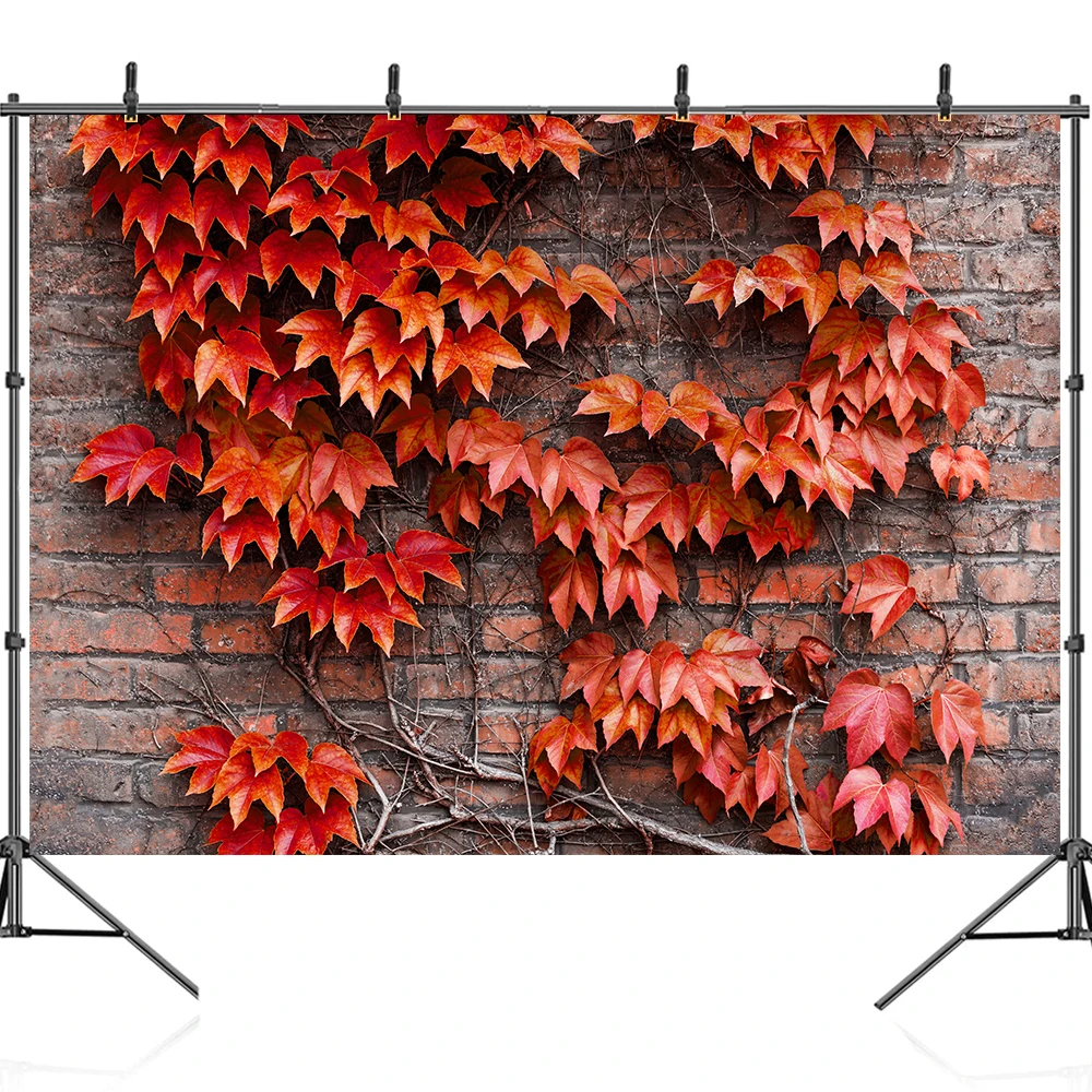 Ĺ ܵ         Photographi Backdrops Photocall Photozone