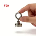 F20