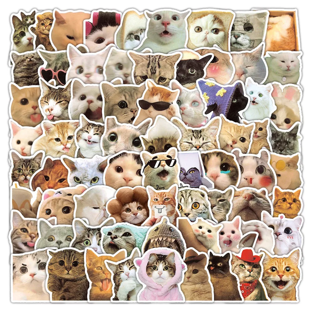 100 Stück entzückende Katzen-Emoji-Graffiti-Aufkleber, Kawaii-Kätzchenkopf-Doodle-Aufkleber, niedliche Dekoration für Laptops, Aufnahme, YourLife Store – Detail 3