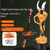 Electric High Branch Pruning Shears Garden Branch Telescopic Extension Pole 전지가위 전동전지가위 전지가위 충전식 Tijeras De Podar 전정가위 전동가위 전지가위 2