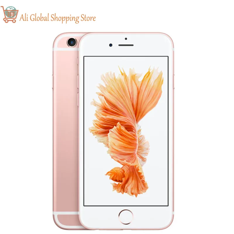 Функции 6 s. Функции 6 s. 5 функций. Функции 6 s. Таблица по биологии 6 класс название и функции частей цветка.