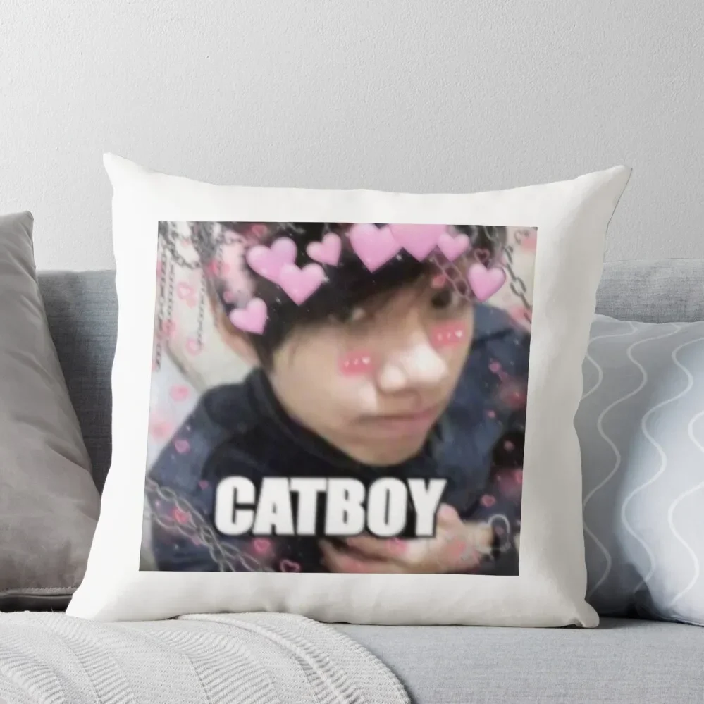 

Catboy Quackity Throw Pillow Room decorating items Sofa Cushion