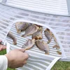 Foldable Balcony Drying Net for Drying Things Fly Proof Cage for Home Use Portable Fish Drying Net for Drying Vegetables 2