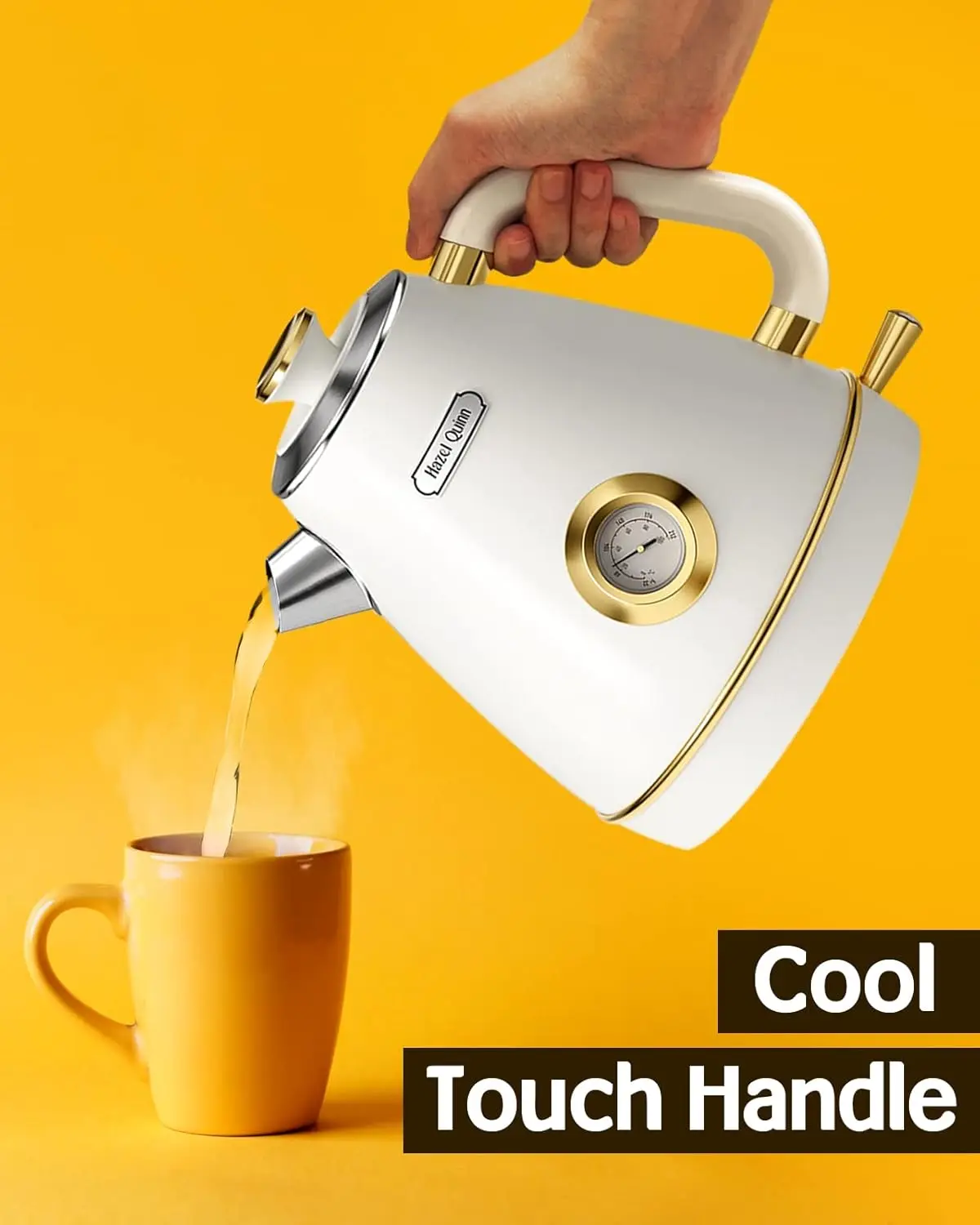 Quinn Retro Electric Kettle-1.7 Liters / 57.5 Ounces Tea Kettle with Thermometer, All Stainless Steel, 1200 Watts Fast B