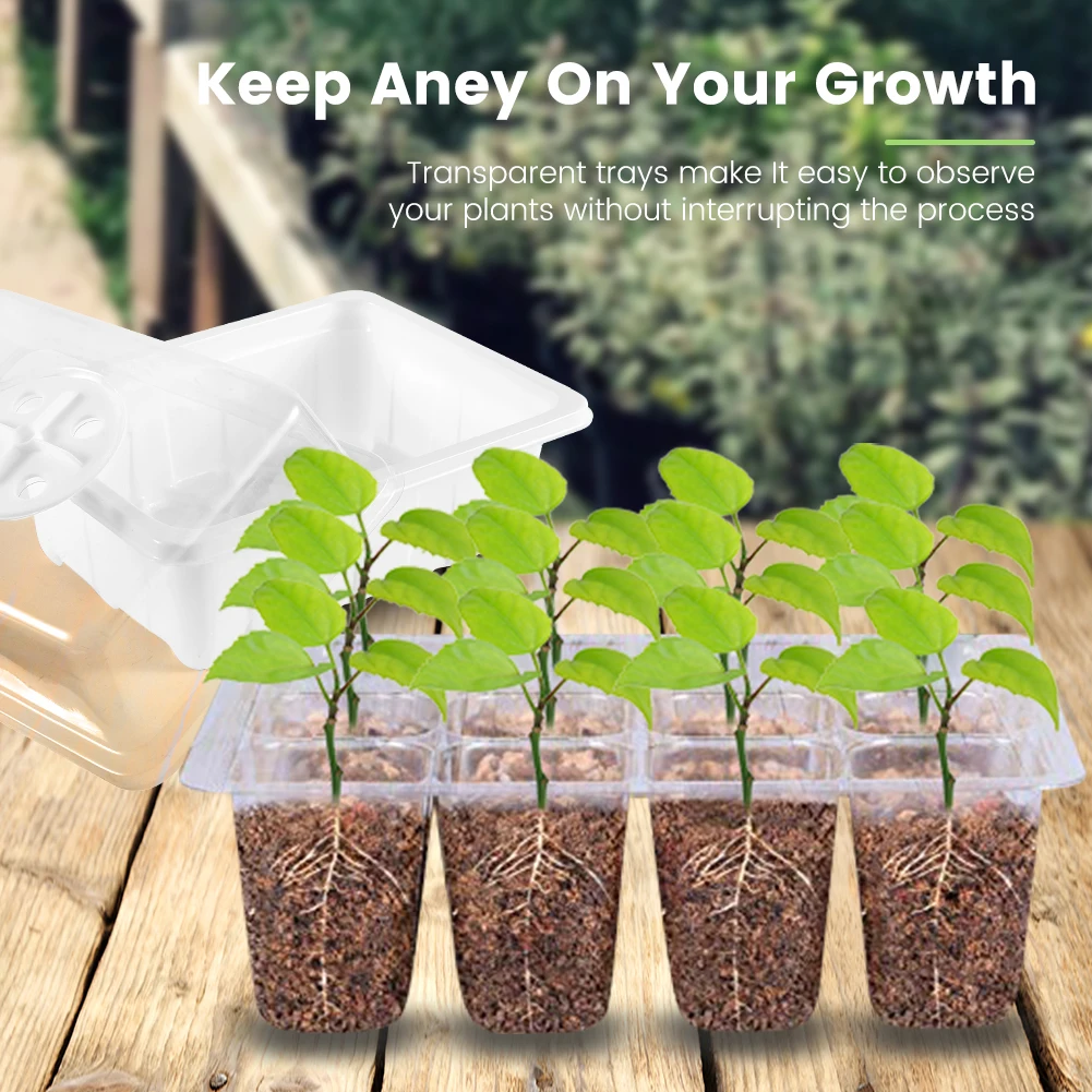 Seed Propagator Tray Plastic Seedlings Trays with Transparent Cover for Garden Indoor seed starter tray seedling tray 5Pcs