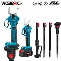 Extension Pole Brushless Cordless Electric scissors Pruner pruning Shears Efficient Fruit Tree Bonsai Pruning Branche Cutter 1