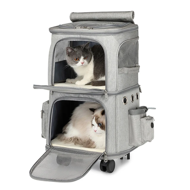 The Best Travel Carrier for Cats and Small Dogs