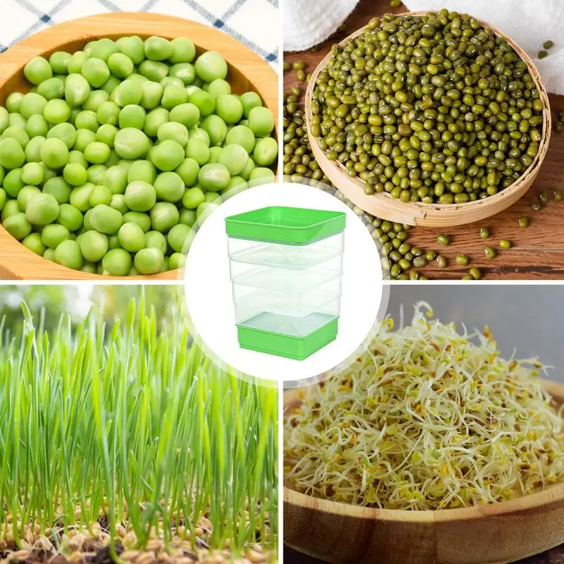 Seed Sprouter Tray With Cover Sprout Dish Growing Pot Seed Germination Tray Soilless Cultivation Germination Nursery
