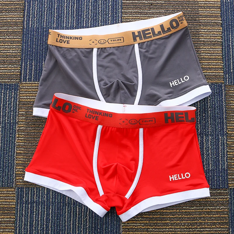 Boxer Shorts 2Pcs/lot Fashion Men's Panties Summer Ice Silk Breathable Male Boxers