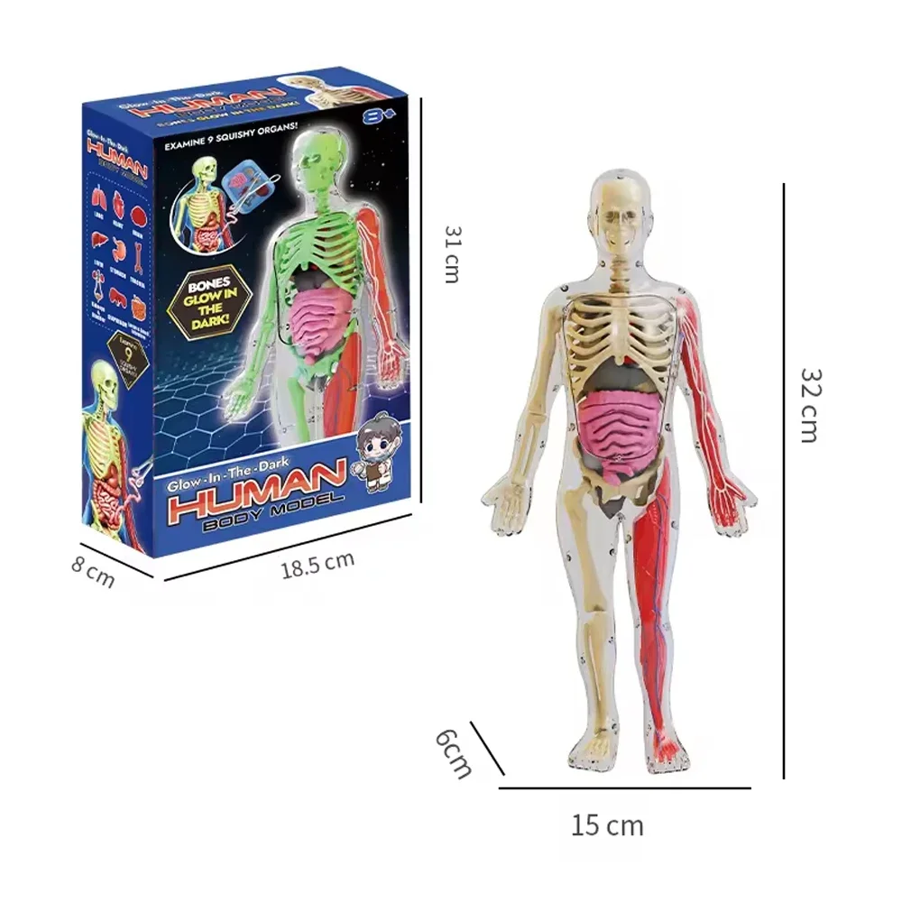 DeAGOSTINI Human Body 全13巻セット D786110S_1.jpg