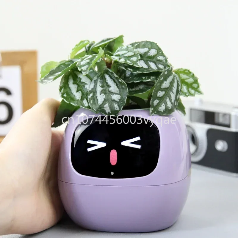 2023 New Smart Cute Pet Piccolo Vaso Di Fiori Ivy Desktop Green Plant Consente Alle Tue Piante Di Esprimere Le Emozioni