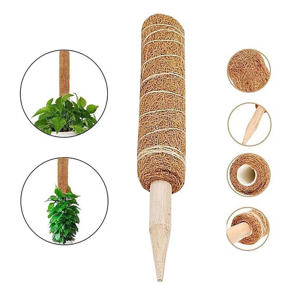 30/40/50CM Plant Climbing Pole Palm Stick Vine Support Extension Potted Plants Support Stakes Moss Pole Garden Tool Flower Decor