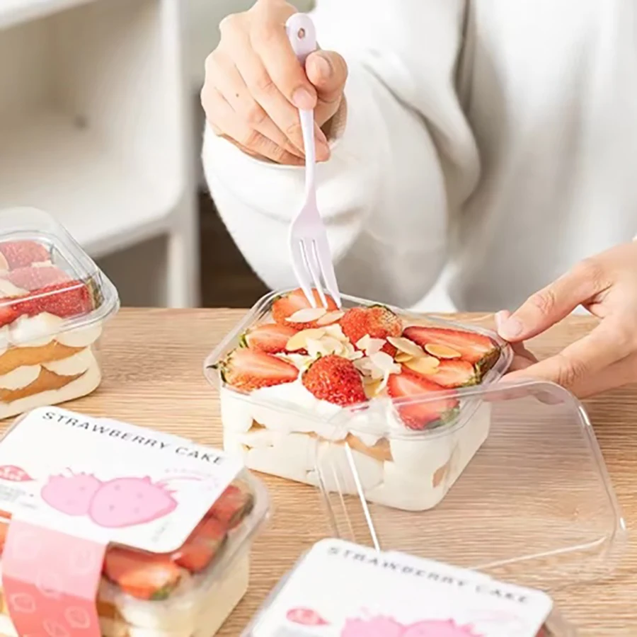 Clear Rectangle Cake Boxes with Lids 5