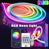 5V RGB Neon Strip Light 1M 2M 3M 5M USB Waterproof Flexible Ribbon Tape Neon Lights With Bluetooth Remote Control For Home Decor 1