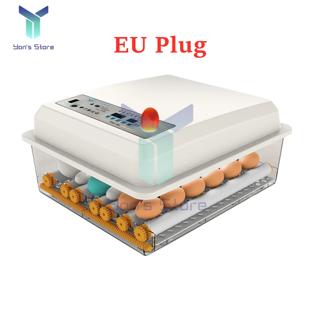 EU plug