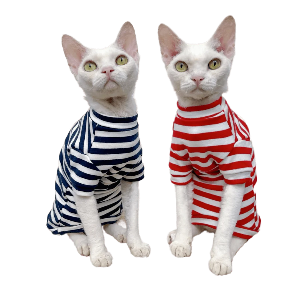 SphinxHairlessCatDevonRexClothesConisKittenApparelCotton