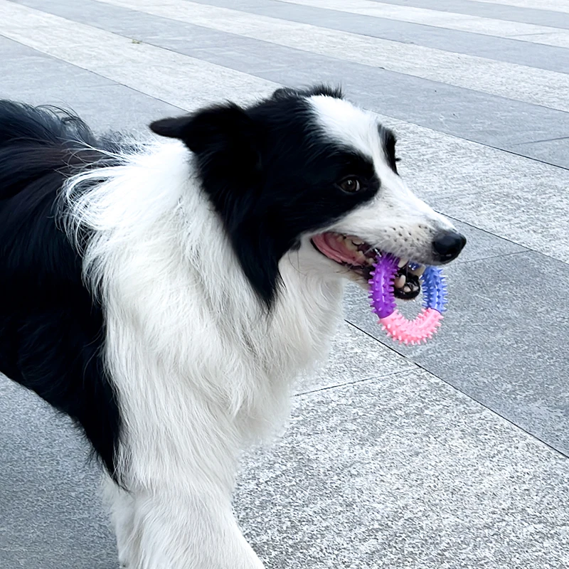 Pet köpek oyuncak kauçuk diken halka ısırmaya dayanıklı diş temizleme tpr molar çiğnemek oyuncak köpekler için interaktif eğitim köpek aksesuarları