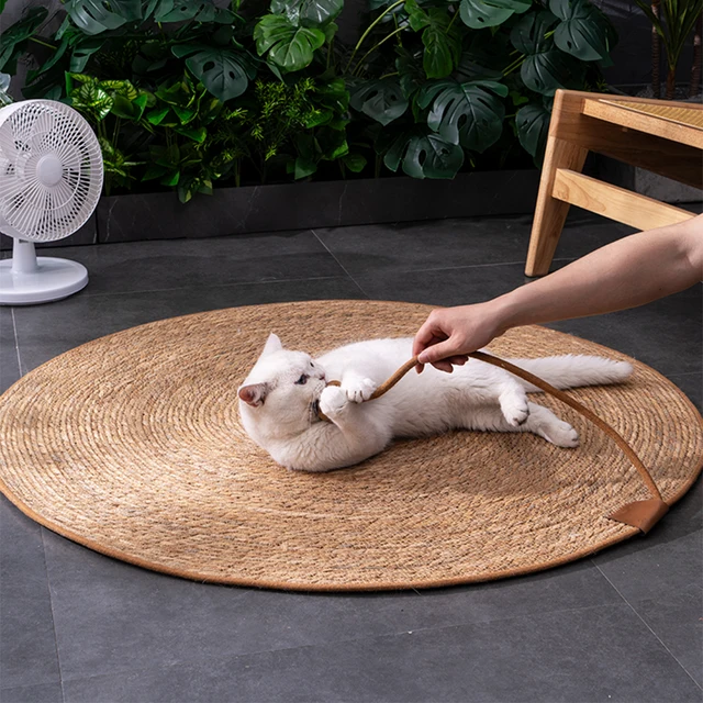 Couch Cat Scratcher Sofa Protection Artifact Cat Supplies Cat Scratch Board Pad Cat Scratching Post Cat Toys Furniture Protector 5