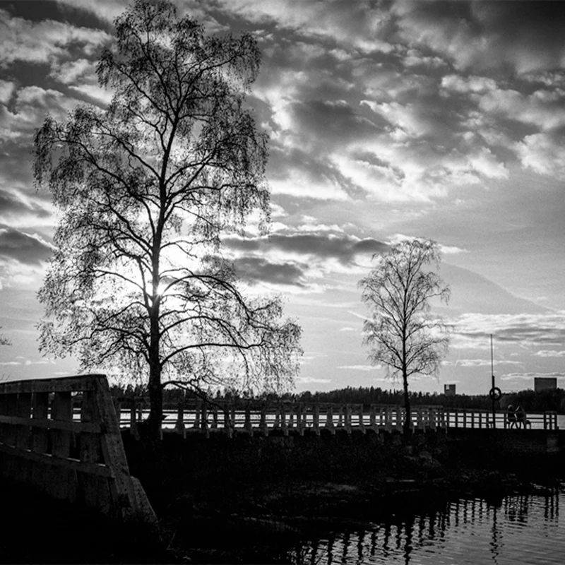 Black and White 35mm Film for Photography