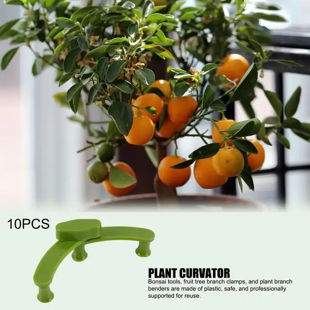 Növényi Edző Klipek Pp Plant Bender Ág Clip Préselő Metsző Készülék Gyümölcsfa Húzása És Formázó Eszköz - Image 4