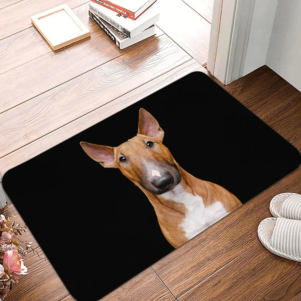 

Entrance Doormat Welcome Mat Cute Dog Bedroom Living Room Anti-slip Carpet Coral Velvet Bathroom Kitchen Floor Rug Home Decor