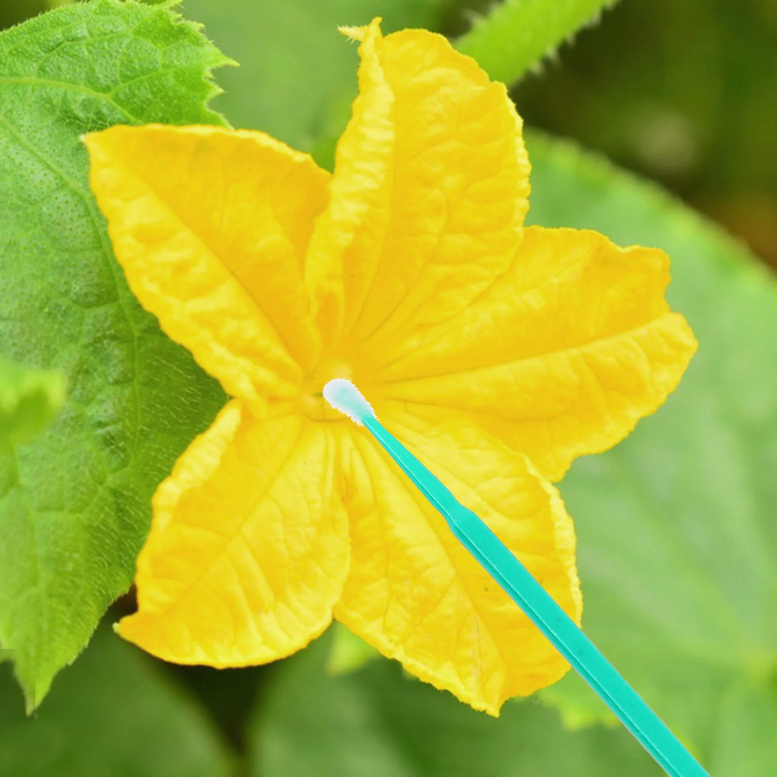 100 Pcs Bee Soft Potted Succulents Plants Vegetables Manual Pollination Brush Pollinator Plastic Gardening Tools 6