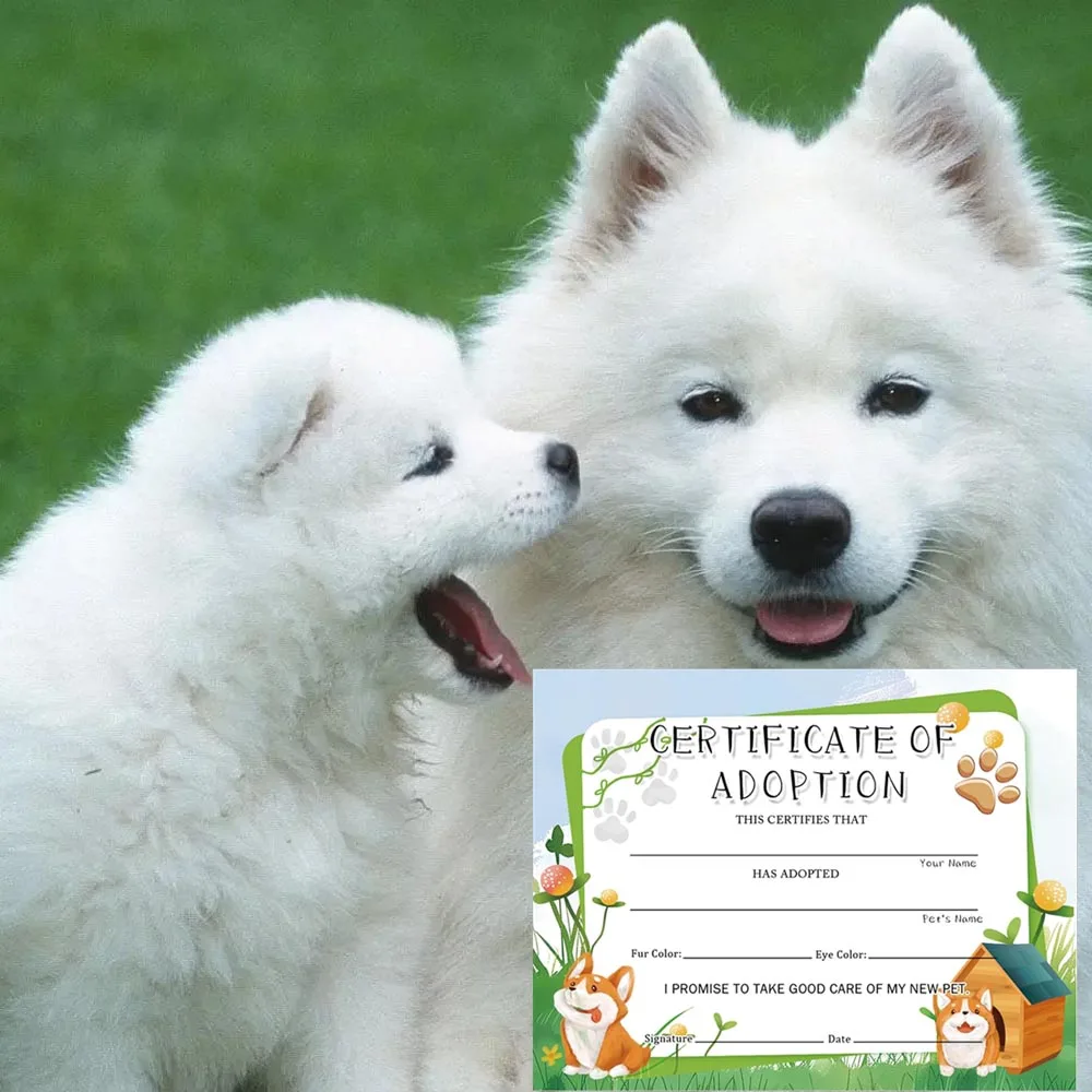Dog Adoption Certificates 11x 8.5inch Dog Pet Adoption Card 12Pcs Animal Themed Certificates Party Favors and Supplies
