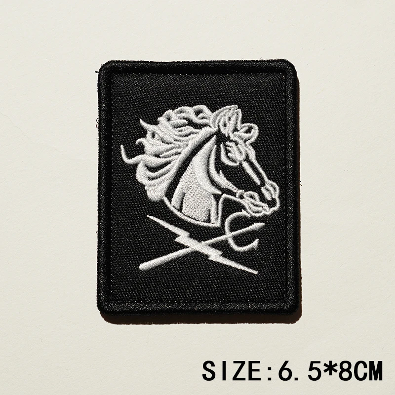 TSNK Patch "DG/NSWDG/DEVGRU/Seal6/Black Team " Armlet/Shoulder Badge 6