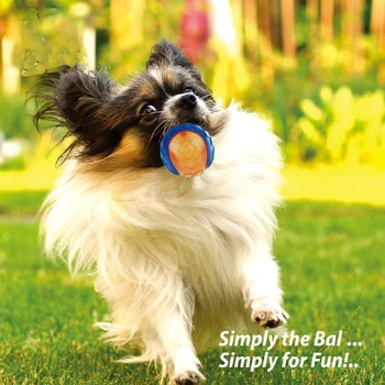 Natural Rubber Squeaky Ball 5