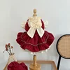 Cat Skirt Bow Princess Skirt Pet Lolita Dress Teddy Bichon Yorkshire Terrier Dog Skirt 3