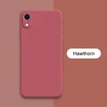 Hawthorn