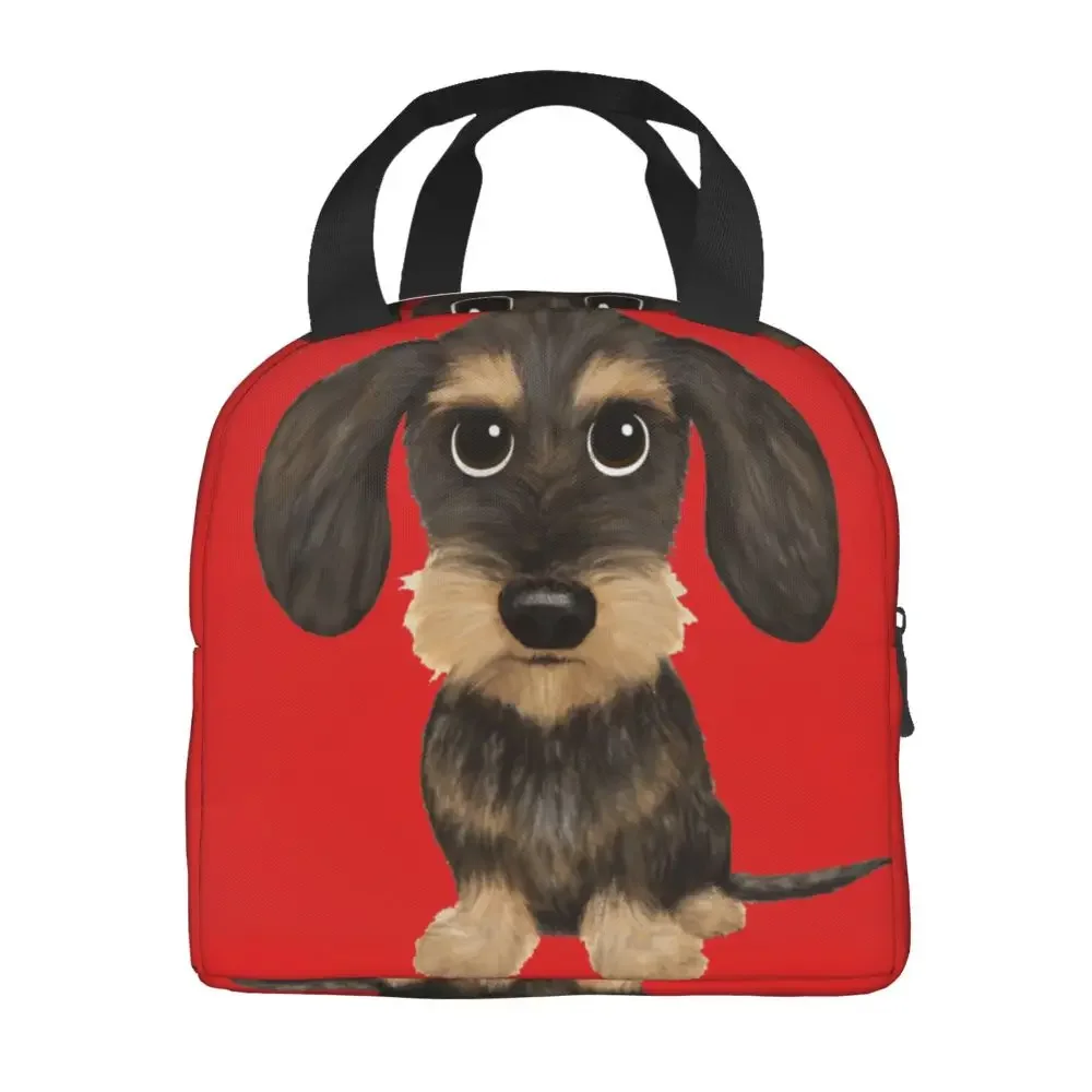 wirehaired-dachshund-lunch-bag-leakproof-thermal-bento-box-tote