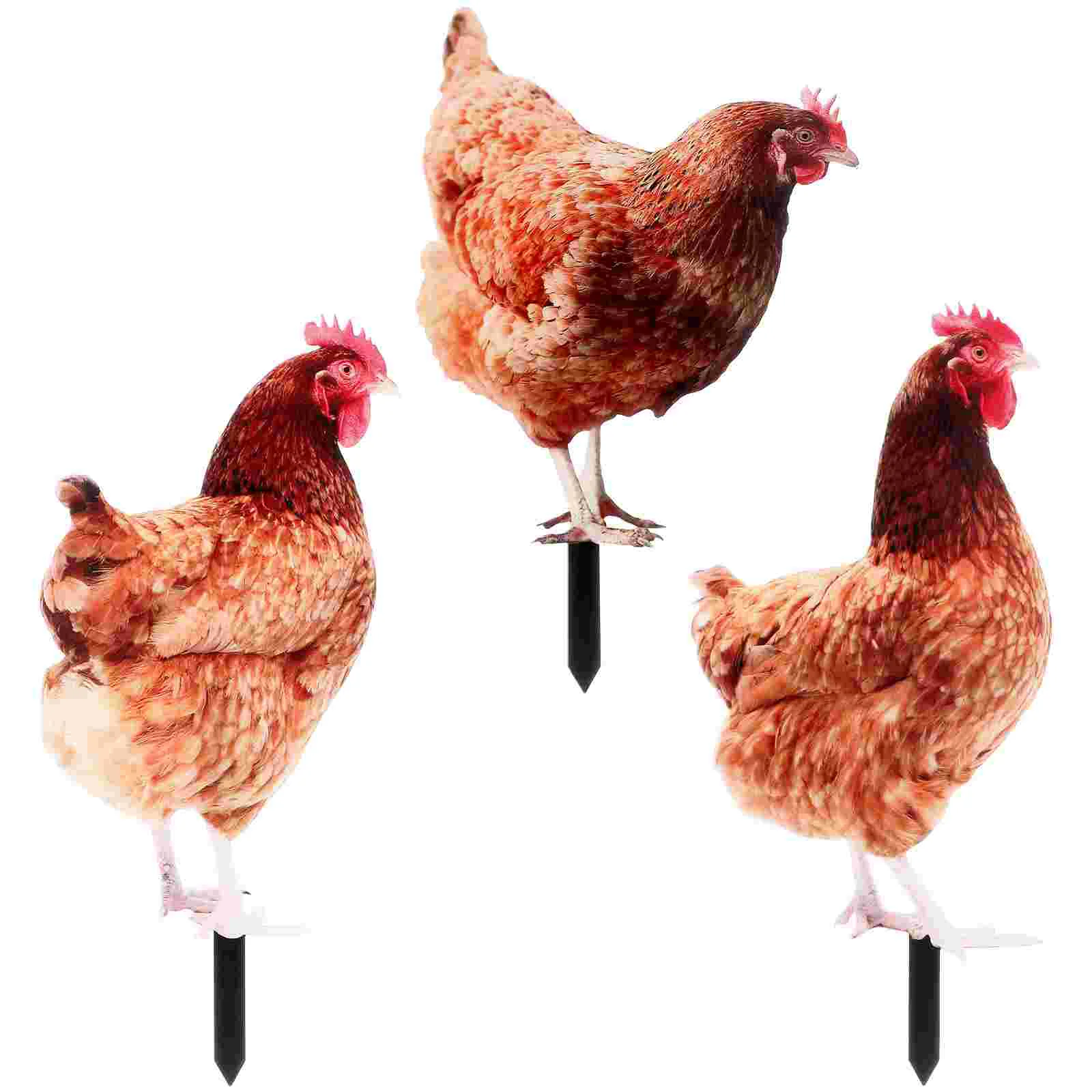 

3pcs Realistic Chicken Statues Stakes Acrylic Printing Outdoor Stakes Garden Hen Sculptures Stakes