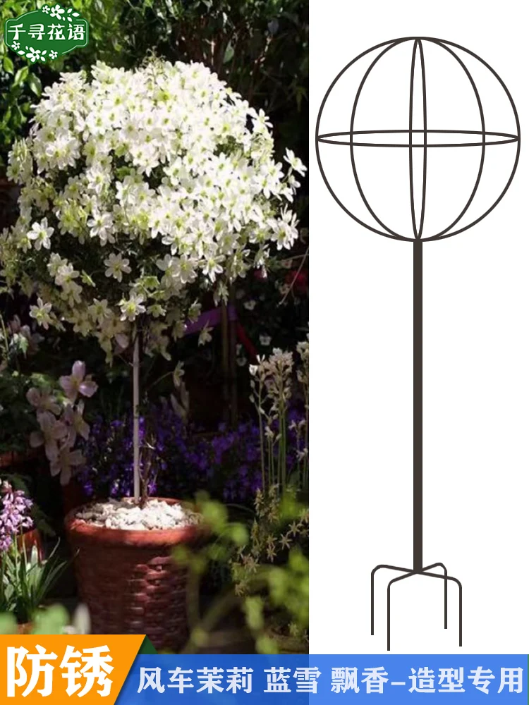 

Balcony: wrought iron lollipop blue snowflake stand windmill jasmine clematis plant climbing flower trellis flower pot climbi