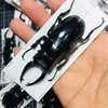 Specimens of Atlas Subspecies of Insects, Real Beetles, Stag Beetles, Giddyups and Butterflies Home Decor 1